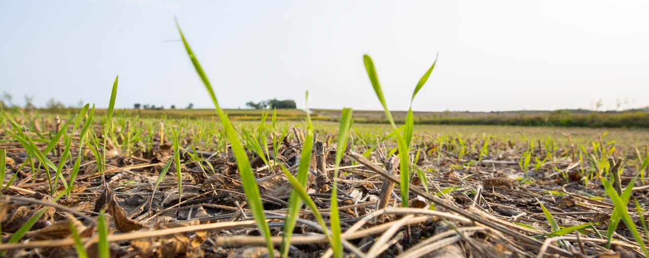 Cargill RegenConnect