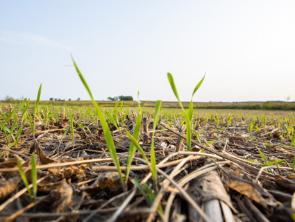 Cargill RegenConnect Cargill RegenConnect