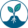 Réduction du travail du sol